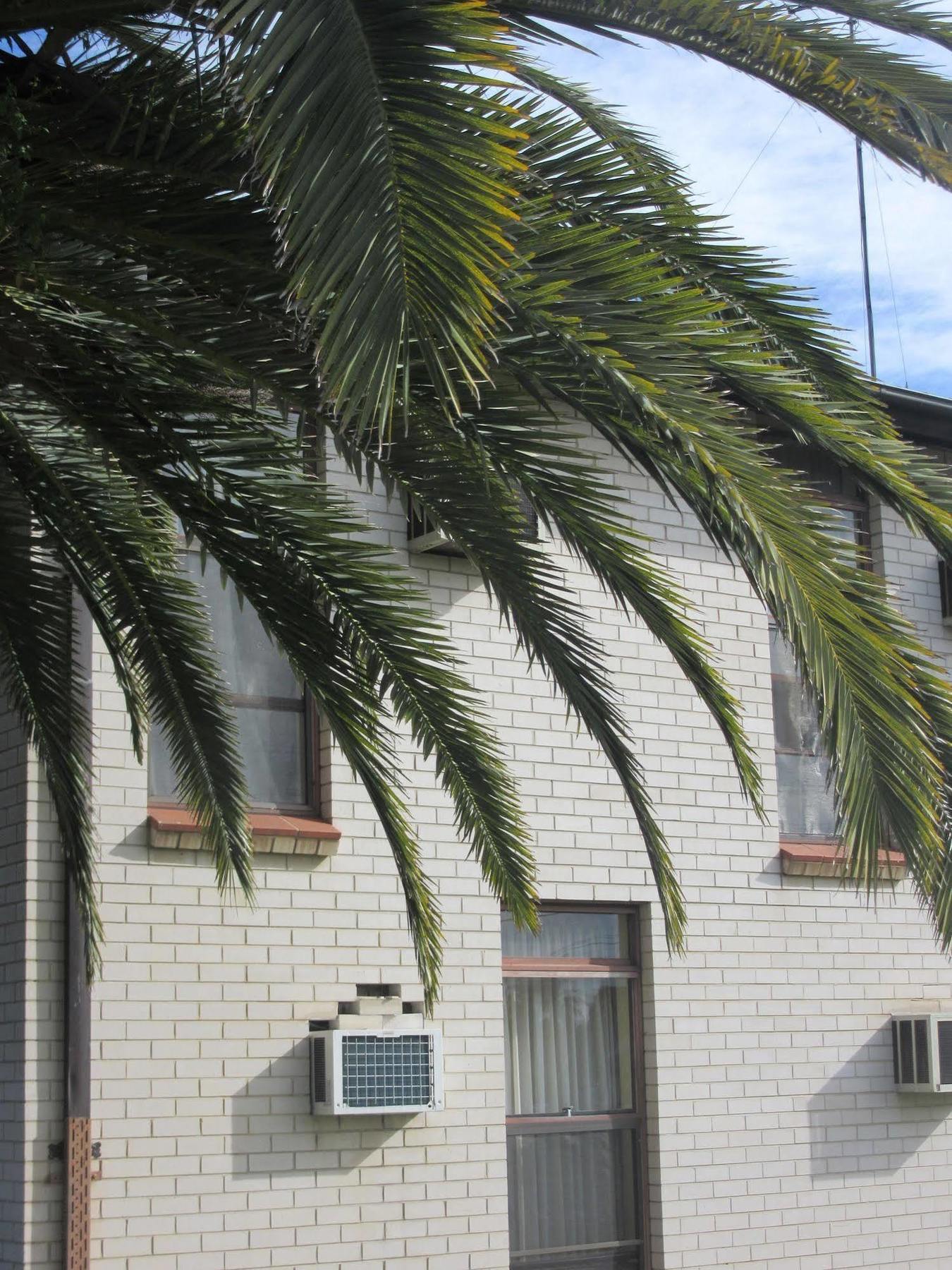 El Toro Motel Warwick Farm Exterior foto